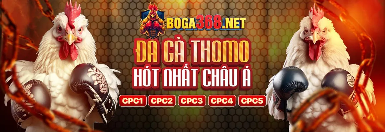 TDTC - Sân chơi cá cược trực tuyến uy tín hàng đầu Việt Nam
